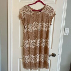 Brand new, never worn, beautiful lace dress , size 16